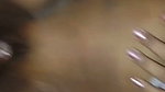 Desi sex videos