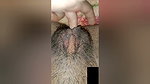 Deep Finger in pussy