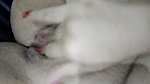 masturbation