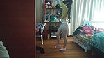 Laura is caught dancing in her underwear and is fucked by her stepbrother. Real amateur classic