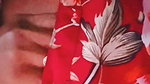 butterf Chamet video