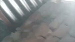 call aso baby Chamet video