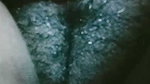 diya Chamet video