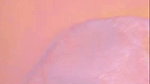 fly me 2 Chamet video