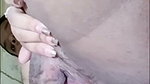 iccha Chamet video