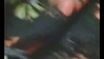 jerin Chamet video