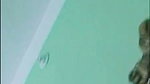 jui Chamet video