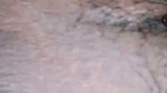 kanok tuhin Chamet video