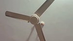 nency Chamet video