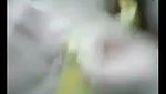 paira polo Chamet video