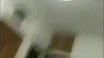 raisha Chamet video