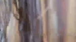 rooh 2 Chamet video