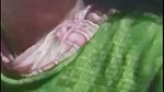 tor pama matar Chamet video