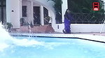 A compilation of hot MILFs – Saree, Navel & Ass felt 1