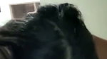 Cute Wife Kissing Giving Blowjob & Fucking Hard & Rough in Doggy on the Couch 3