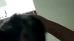 Cute Wife Kissing Giving Blowjob & Fucking Hard & Rough in Doggy on the Couch 3