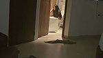 Sexy Indian Horny Marathi Girl Blowjob Hard Fucking Moaning Unable To Walk After Fuck 4