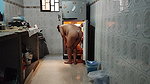 My pregnant stepmother in the kitchen