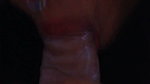 Mu Best Friend Tattoed Come to Homework and End Doing Blowjob