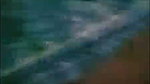 abage mon Chamet video