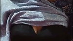 oase Chamet video