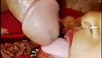 Rajastani Wife BJ to Lover Pussy Show