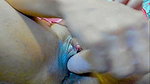 Sexy Barbygirl horny hard squirt and drink