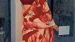 SHRIJU DAMN SEDUCTRESS IN BACKLESS SAREE TEMPTING VIEW