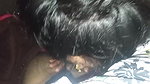 Wife Sucking Dick