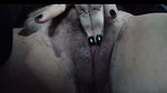 Rubbing my clit until I cum – show