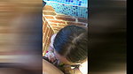 PALE SKIN YOUNG GIRL WITH VERY TIGHT VAGINA AND PINK NIPPLES