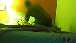 Asian massage parlor fucking- 29