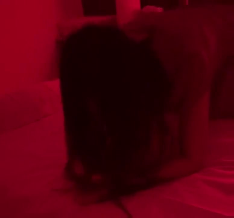 Frame 6