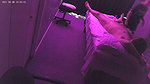 Asian massage parlor fucking- 93