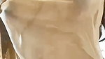 Desi Wife Lust OOPS Naked Saree 1