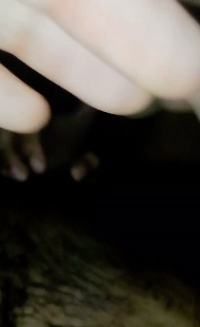 Frame 6