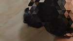 Mallu Wife Received Double Cumshot on Face ~ Amak 1
