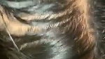 Sexy Slim Horny Wife Blowjob And Hard Fucking 2
