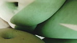 desi step sis seema took her step bro room for a day where he want to enjoy with hot teen stepsister in dirty Hindi talk