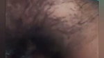I lay down on the bed and stood up and fucked my stepdaughter
