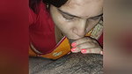 Indian bhabhi sucking in handsjob and cream