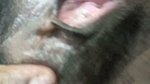 Madhumitha Pussy Full Mood Sex On Bed Mastaurbation First And Giving Sex Very Hot Ass Xxx Clear Audio