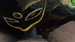Tamil Wife Sucking and Playing with Cock on Her Boobs