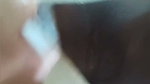 Village bhabhi sex video hindi audio
