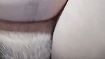 aditi jemmy chamet private video