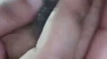 alifakhia chamet private video