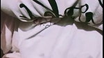 chad chamet private video