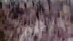 mehu chamet private video
