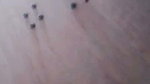 othoy chamet private video