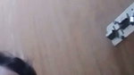 othoy chamet private video
